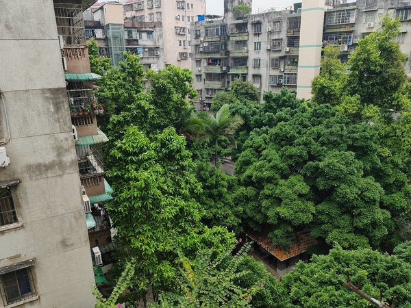 【多图】合兴苑,芳村租房,芳村茶滘 合兴苑中层 东南向安静望小区