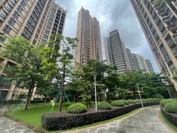 中山火炬开发区张家边泰瑞居想看泰瑞居的看过来!第一次出租!