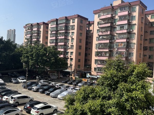 广州天河东圃天河荔园新村急租 东圃地铁 荔园新村 全新精装大单间 全