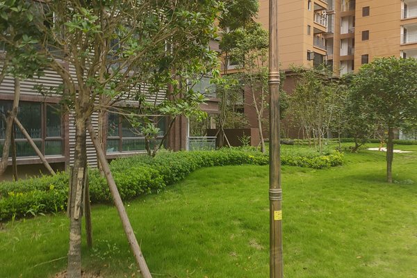 资阳小区 安岳县小区 柠都大道小区 华庭贵府