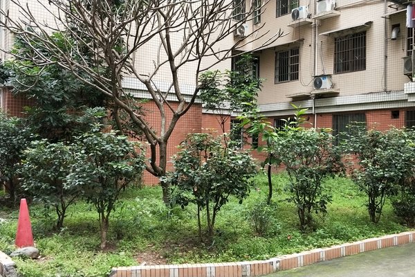 广州小区 白云小区 同德围小区 富林居 富林居怎么样