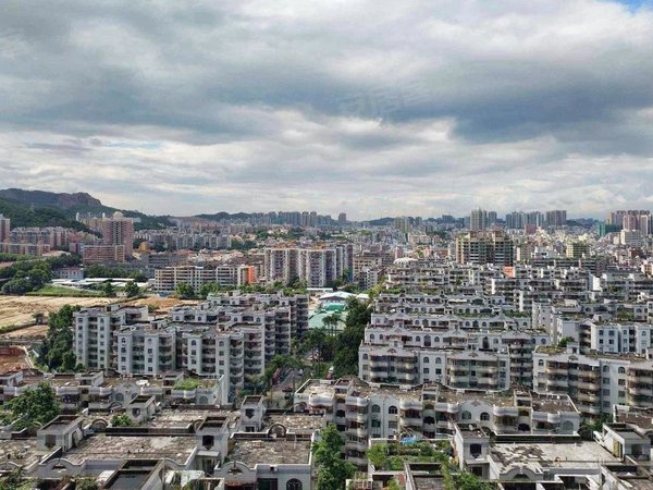 深圳罗湖清水河龙园山庄店长!
