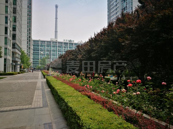 随时看,skp华贸小区,紧邻skp,带衣帽间,正规一居,朝阳租房-北京58安居