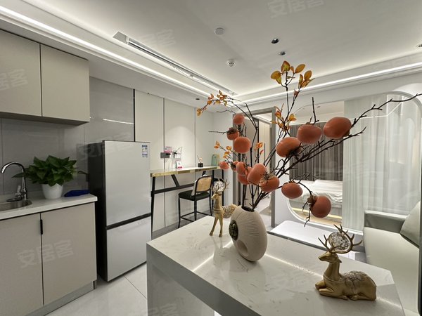 金华东阳东阳江北西范小区西范山口 单间 一室一厅 两室一厅 家电齐全豪华装修拎包入住出租房源真实图片