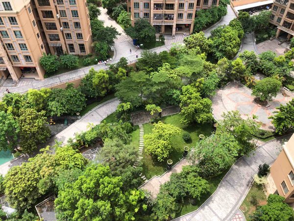 广州增城新塘中森茗苑中森名苑,牛仔城商圈,两房,电梯高层,不近路出租