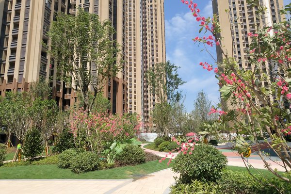 远洋城优点,不足,远洋城怎么样,远洋城周边房产中介经纪人评价-重庆