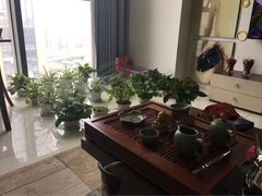 无锡惠山钱桥港龙城市商业广场 1室1厅1卫出租房源真实图片