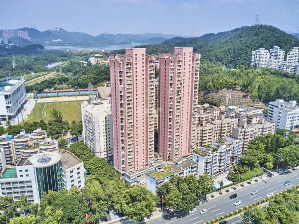 深圳罗湖水库华清园安业花园莲塘口岸地铁站 看东湖公园 精装两房家私