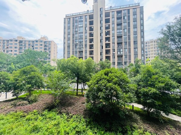 杭州西湖转塘珊瑚沙家园近亚厦美人纪宋城银泰,珊瑚沙朝南带阳台精装