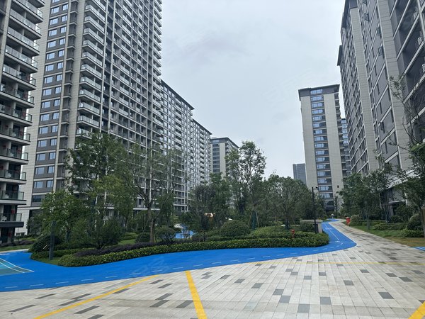 杭州富阳银湖众安顺源府6号线虎啸杏地铁口  精装修  领包入住  随时