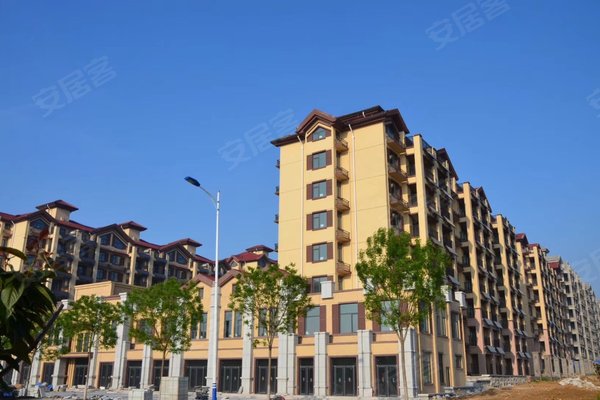 烟台二手房 鲁商公馆 > 杜堂宪解读鲁商公馆小区户型