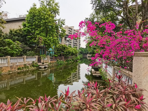 【多图】珊瑚天峰,星河湾租房,万科物业自营 天峰精装四房佶屋出租