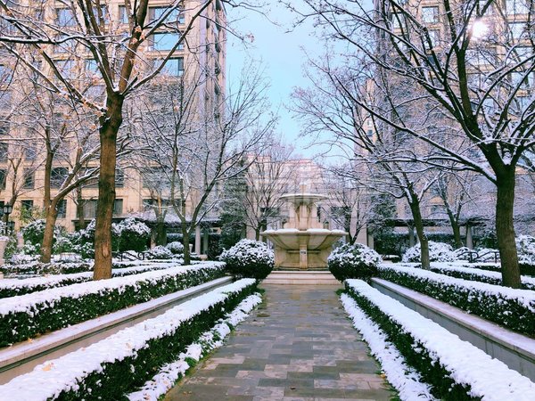 【多图】绿城北京诚园,南沙滩租房,南北通透 豪华装修 管家物业 私人