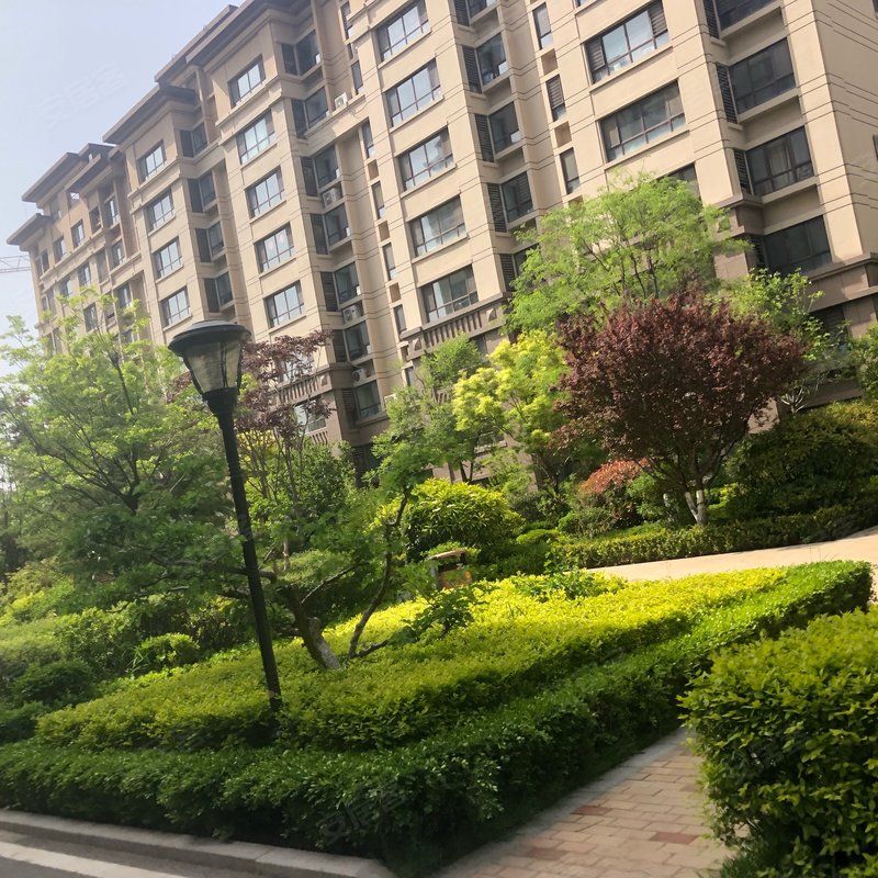 正阳公馆南区专家解读