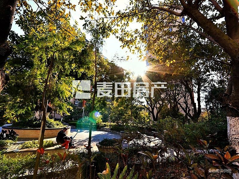 绿苑新城三组团