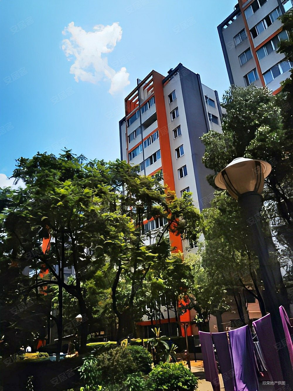 怡芳园二期3室2厅精装修79万电梯房位置好