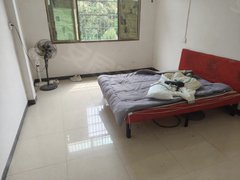 邵阳洞口洞口城区绿景盛世豪庭 2室1厅1卫出租房源真实图片