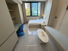 深圳龙岗南联龙岗中心城近万科金地龙城 独栋公寓 电梯精装大单间 全屋定制出租房源真实图片