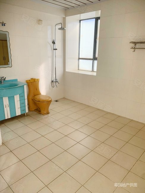 高新区水逸康桥带屋顶80平米花园房东急售