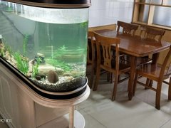 沛县香城路五州新天地歌风新区 3室1厅1卫出租房源真实图片