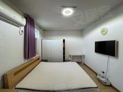 南京秦淮新街口新街口 常府街 张府园 洪武路精装一居室带电梯 火瓦巷可月付出租房源真实图片