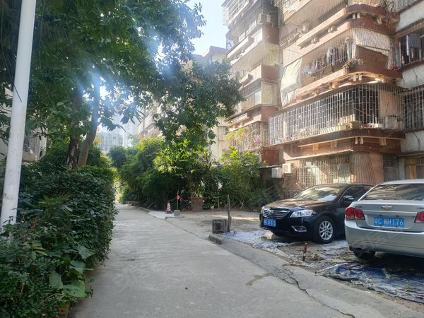 珠海香洲吉大吉大新村景园晓旁 吉大新村新装修3房租3千 东西通双阳台