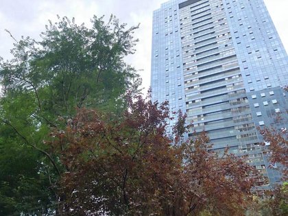 绿城翡翠湖玫瑰园优点 不足 绿城翡翠湖玫瑰园怎么样 绿城翡翠湖玫瑰园周边房产中介经纪人评价 合肥安居客