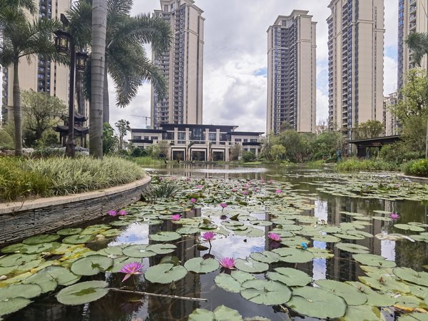 珠海斗门白藤头恒大滨江左岸全新未住 湖心路精装两房 家私电齐全