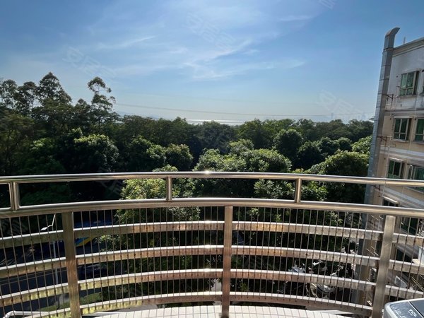 深圳福田沙嘴沙嘴村福田 沙嘴 电梯房两房一厅 带阳台 全采光 地铁站