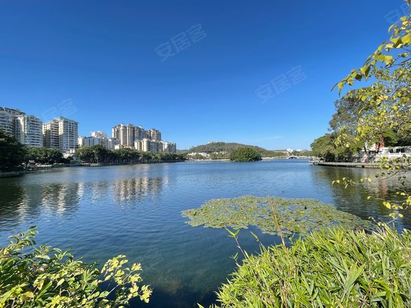 【多图】巴黎广场,麦地东租房,巴黎广场复式精装修一房,拎包入住,朝南