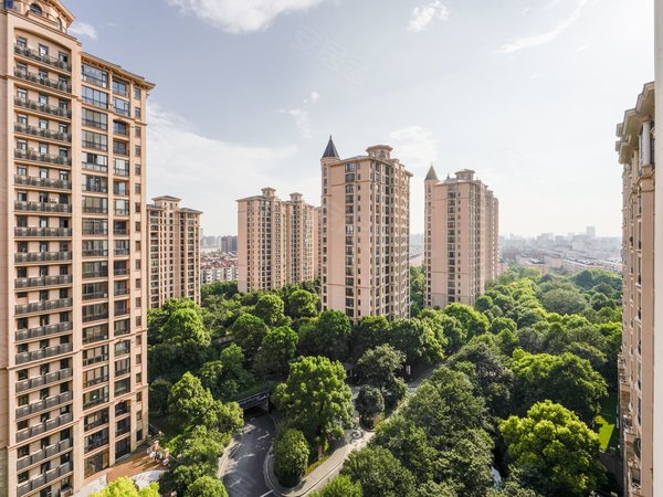 上海闵行春申上海星河湾(二期)大平层标杆丨高区豪装大四房丨全套家具