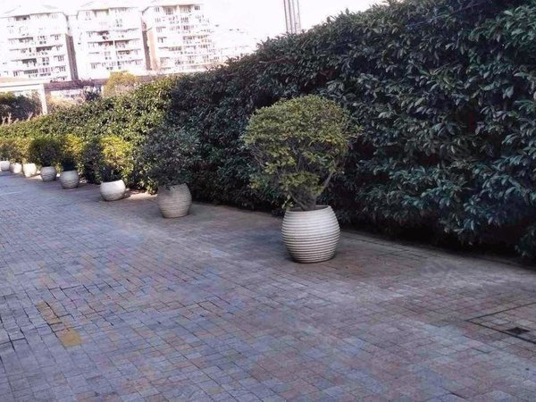 上海闵行七宝皇都花园(公寓住宅)近12号线,品质小区,带固定车位,精