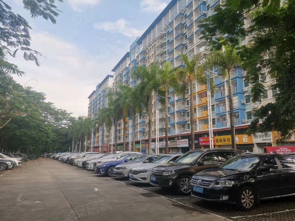 深圳龙华梅林关口鑫海公寓(龙华)鑫海公寓精装一房一厅,小区房物业直