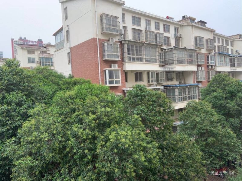 边户 明卫,兴隆花园(西院)二手房,86万,3室2厅,2卫,135平米-洛阳安居