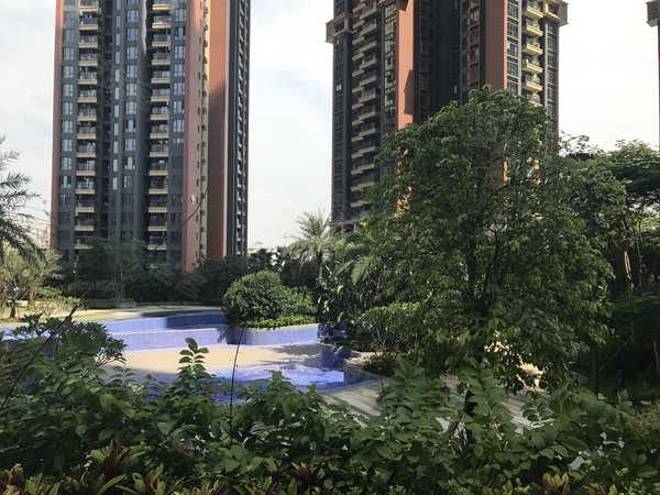 【多图】星河银湖谷,坂田租房,星河双子塔旁 精装修4房双卫 房子干净