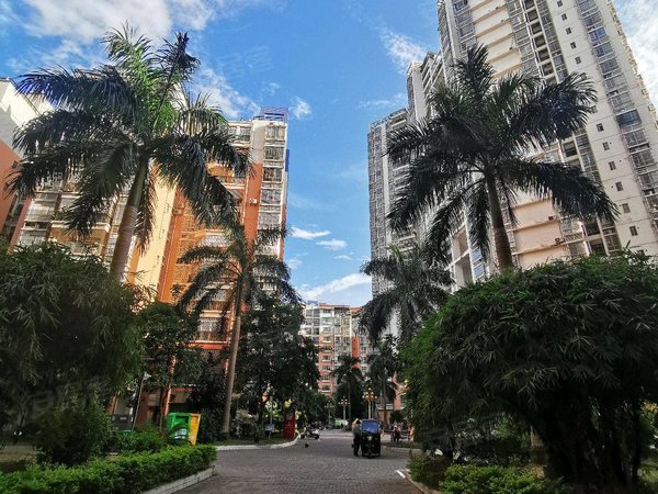 南宁西乡塘安吉棕榈湾棕榈湾 3室2厅1卫 87平 精装修 配套齐全出租