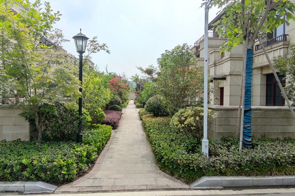 海容骧龙国际(别墅)