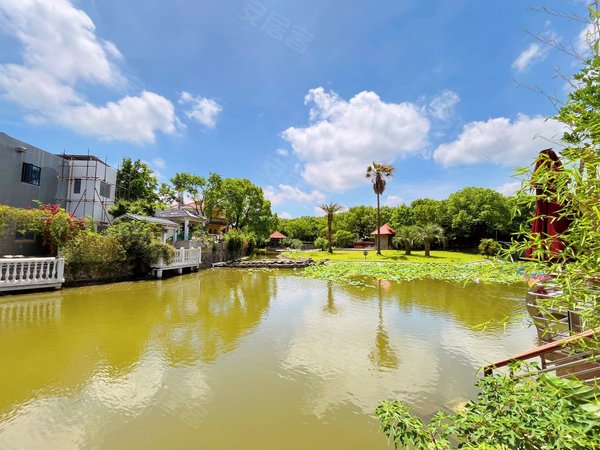 长岛别墅,马桥租房,临河独栋~风景如画~摄影,居家,宠物,闵行租房-上海