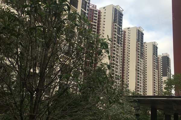 中南远洋漫悦湾