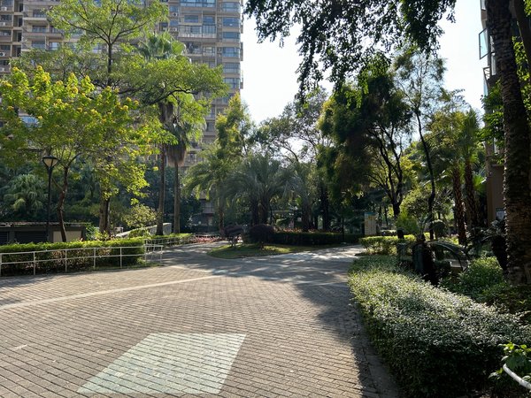 清远清城清城城区现代城真实 三角市场旁 现代城 精装正规一房一厅 非