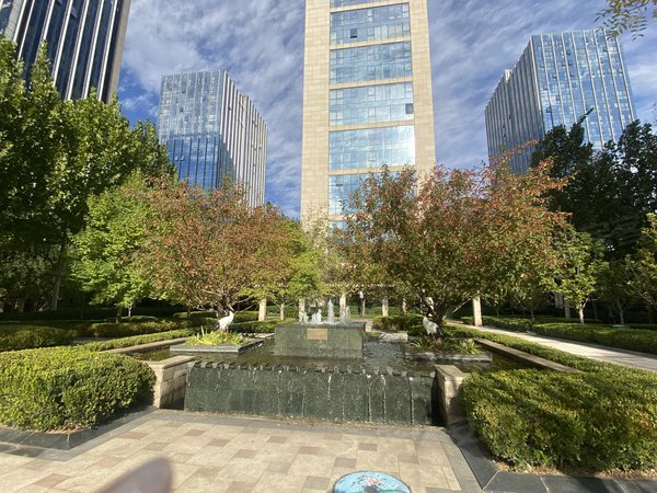 北京大兴亦庄林肯公园(b区)今天新出来的林肯三居室 价格还能谈 直接