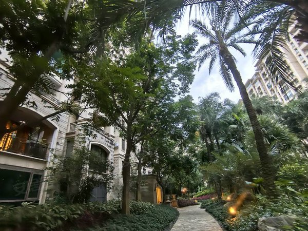 星河湾四期星座园一线江景大平层,拎包入住,看房方便,番禺租房-广州58