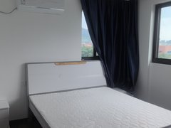 临海江南江南大道伟星星河湾 3室2厅2卫出租房源真实图片