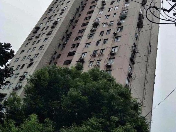 上海杨浦东外滩霍兰公寓看过来!