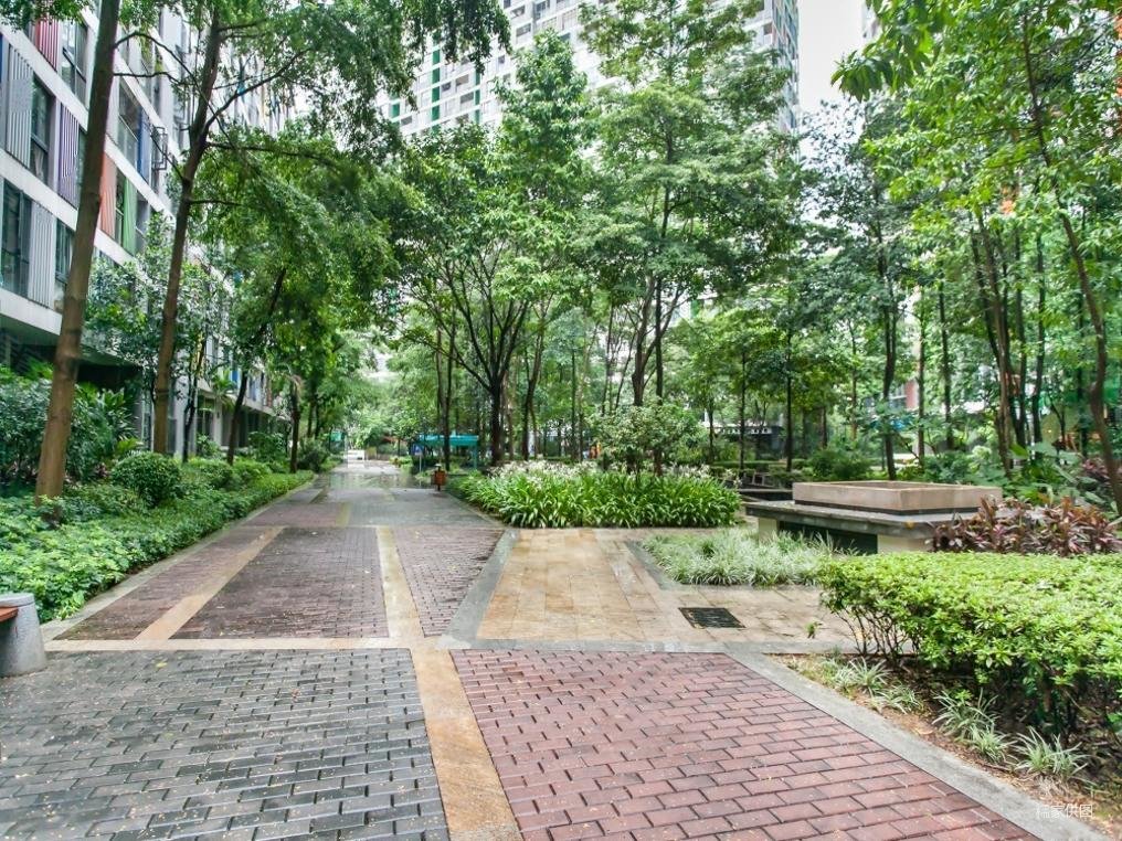 龙华金地梅陇镇一二三期笋盘业主置换急售来电价格可大刀