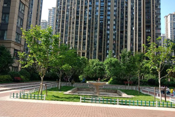 海亮九玺(北区)优点,不足,合肥海亮九玺(北区)怎么样,海亮九玺(北区)