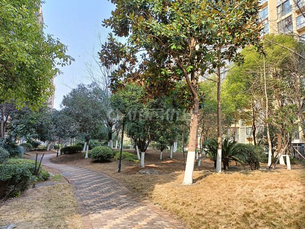 荆门掇刀万达楚荣首府家电家具齐全,拎包入住,业主锁了一间房出租房源