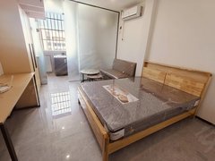 深圳南山南山中心区奢华大一房品牌家私拎包即住可养宠出租房源真实图片