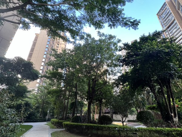 【多图】绿海湾,后海租房,绿海湾 深圳湾豪宅 南北双阳台 新装修 实用