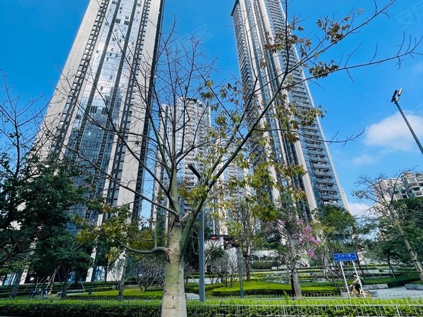 深圳南山科技园华润城润府二期东南向客厅大阳台 主卧带卫生间 楼下就